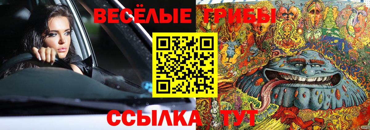 Псилоцибиновые грибы Cubensis  купить закладку  Электрогорск  Вход с VPN 