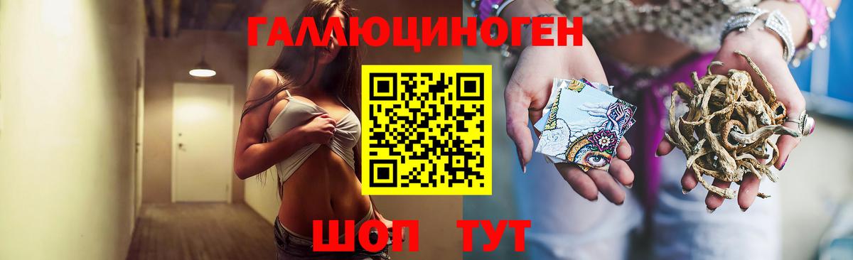 Псилоцибиновые грибы Magic Shrooms Электрогорск